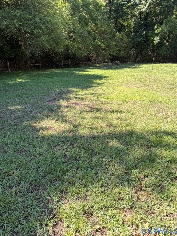 2984 Rolfe Highway Dendron, VA 23839 - Photo 4 of 15 Expansive grassy area bordered by mature trees and