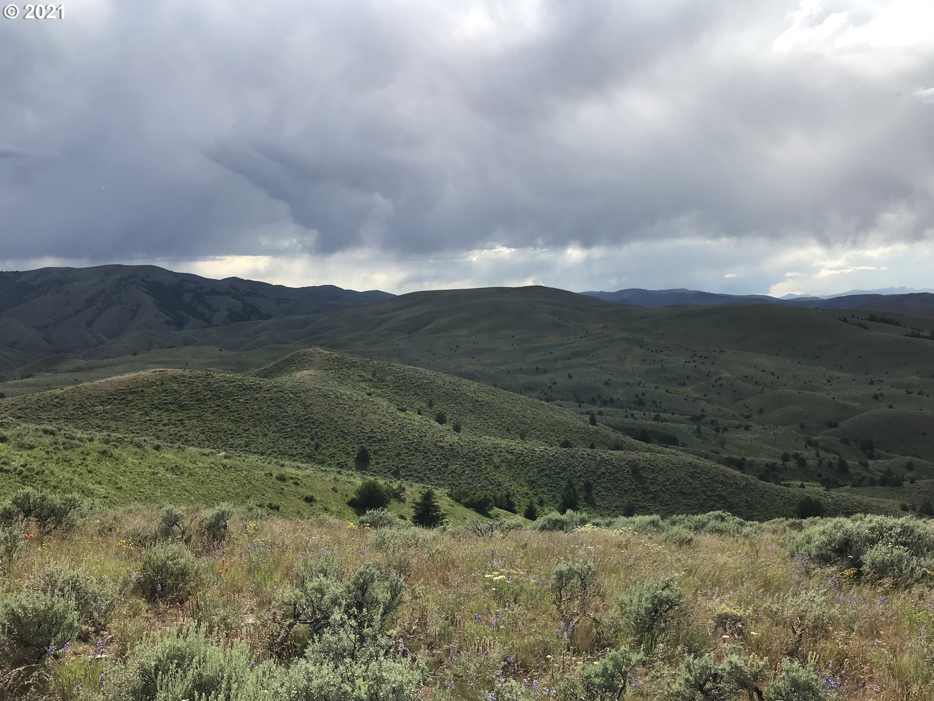 0 Oxman Ranch Road Baker City, OR 97814 - Photo 14 of 21 Gallery Image 14