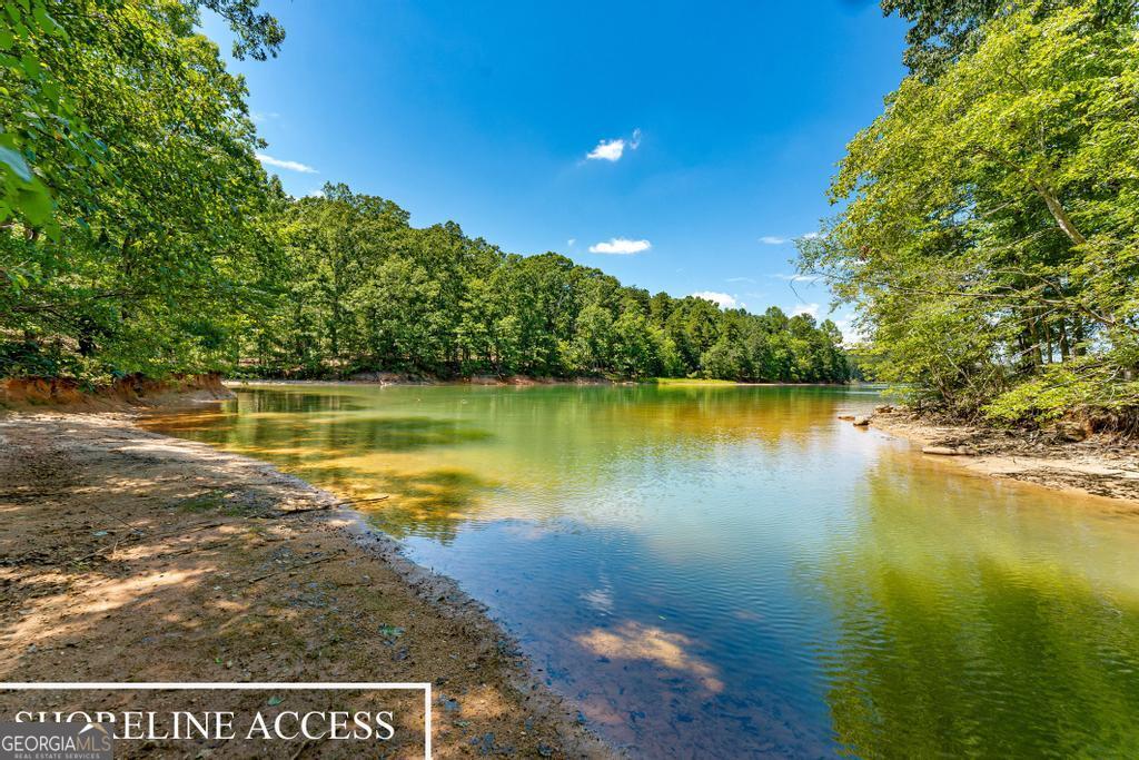 585 John Fleming Road Hartwell, GA 30643 - Photo 50 of 59