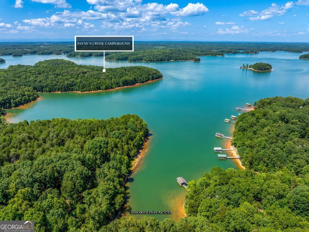 585 John Fleming Road Hartwell, GA 30643 - Photo 53 of 59 an aerial view of a house with a lake view