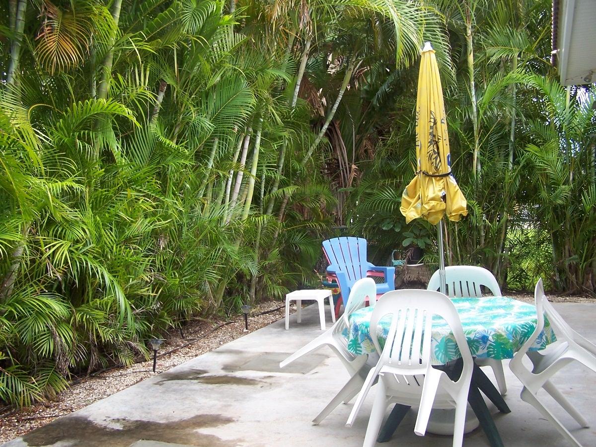 180 8th Street Key Colony Beach, FL 33051 - Photo 16 of 21 Private Patio Lkg South 100_4970