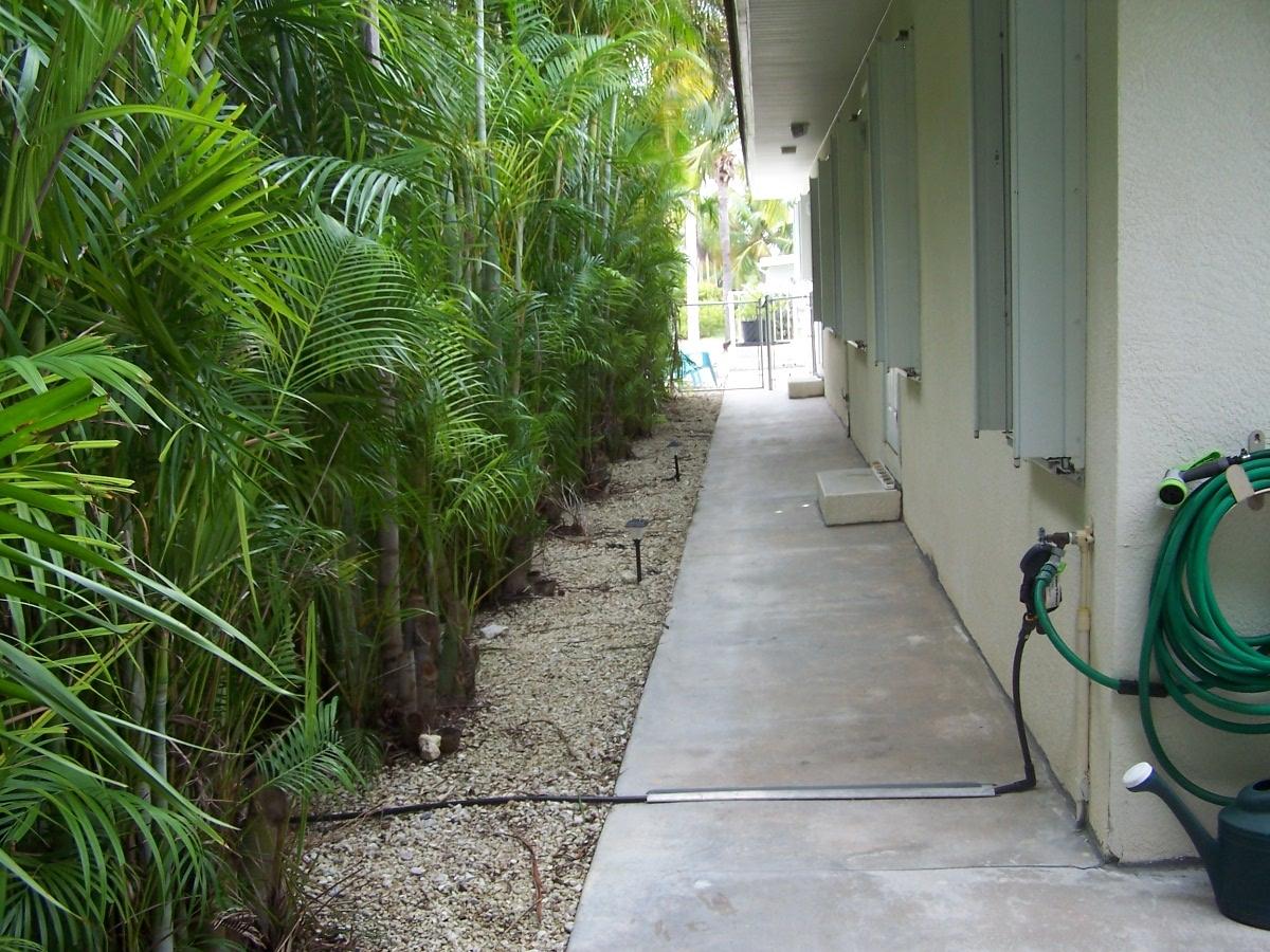180 8th Street Key Colony Beach, FL 33051 - Photo 18 of 21 South Side Walk-Way 100_4972