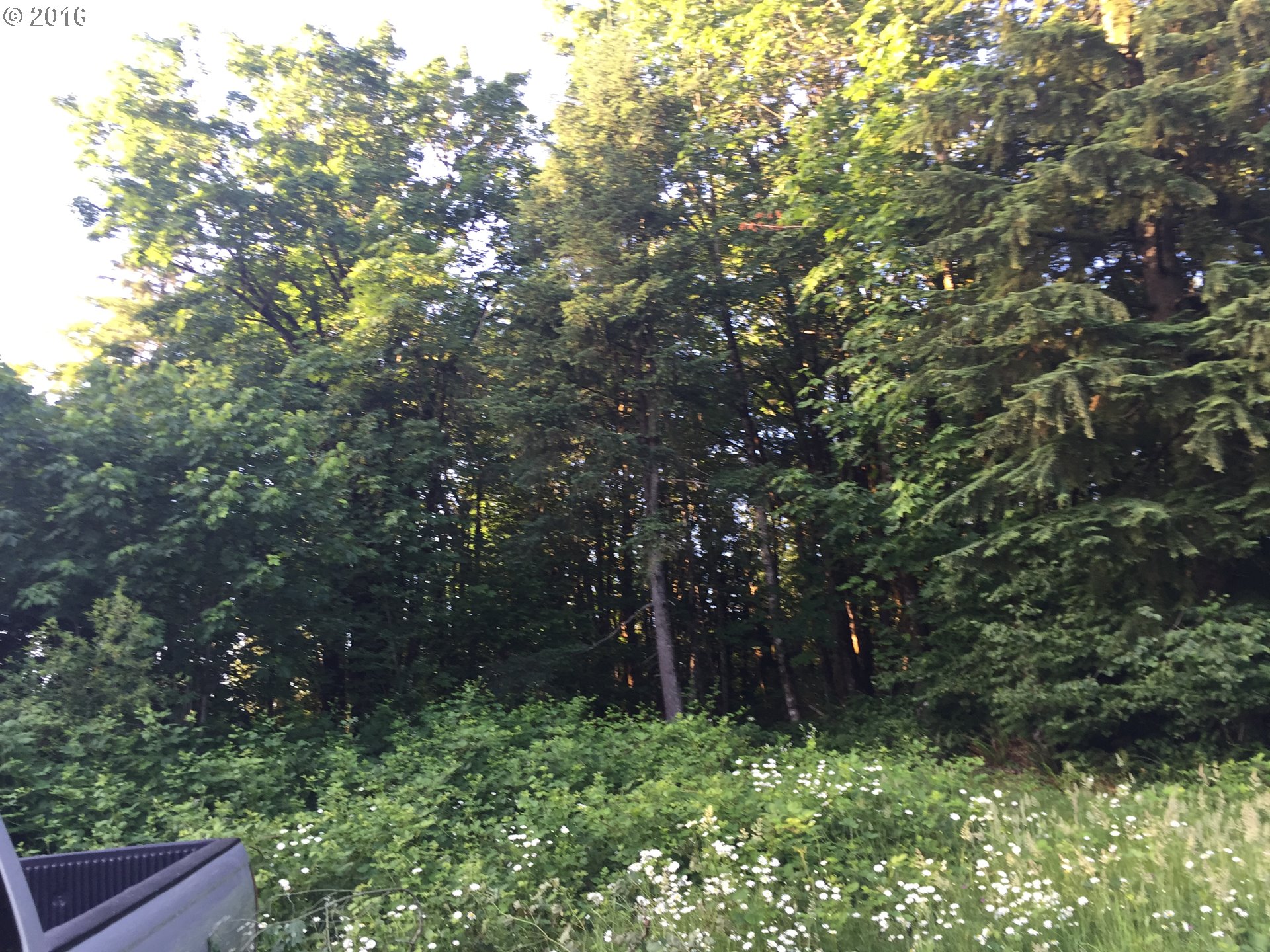 0 Southeast Hidden Falls Road Washougal, WA 98671 - Photo 4 of 5 Gallery Image 4