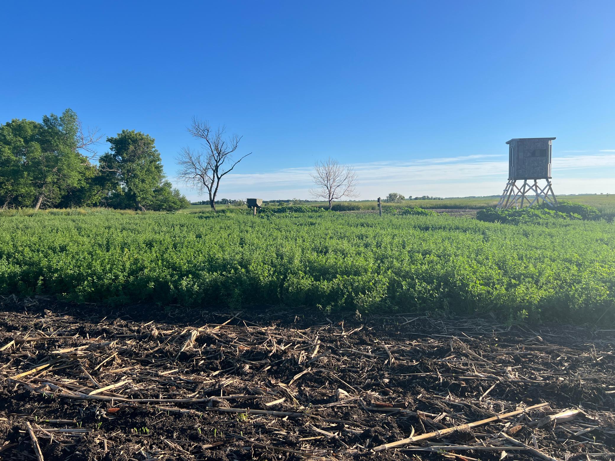 Tbd Southeast Tbd Se 90th Street Rutland, ND 58067 - Photo 6 of 105