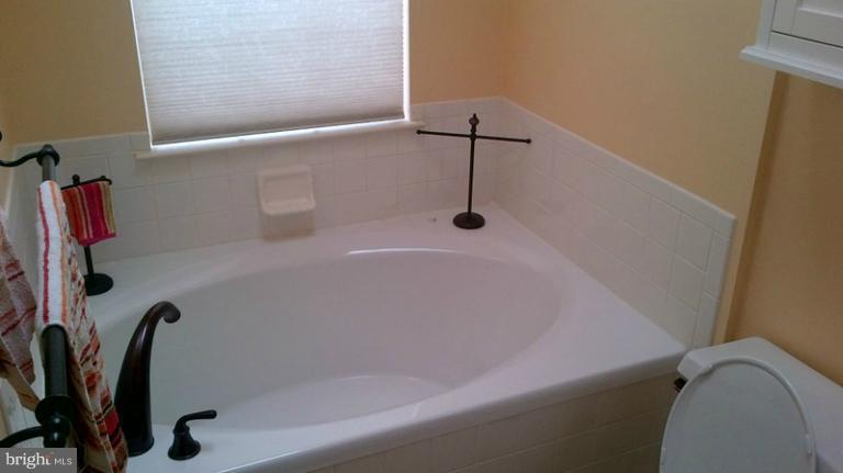 2328 Cold Meadow Way Silver Spring, MD 20906 - Photo 3 of 12 Bath (Master)