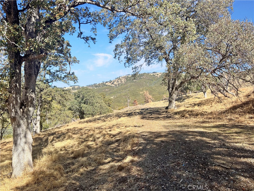 20560 Solar Ridge Road Lower Lake, CA 95457 - Photo 12 of 21 a view of beach and yard