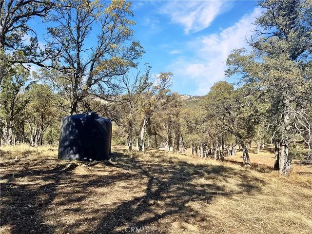 a view of a yard with trees