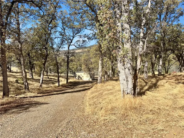 a view of a yard with a mountain
