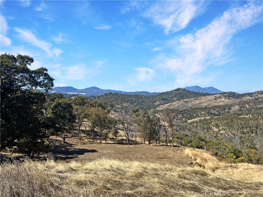 20560 Solar Ridge Road Lower Lake, CA 95457 - Photo 16 of 21 a view of a yard with a mountain