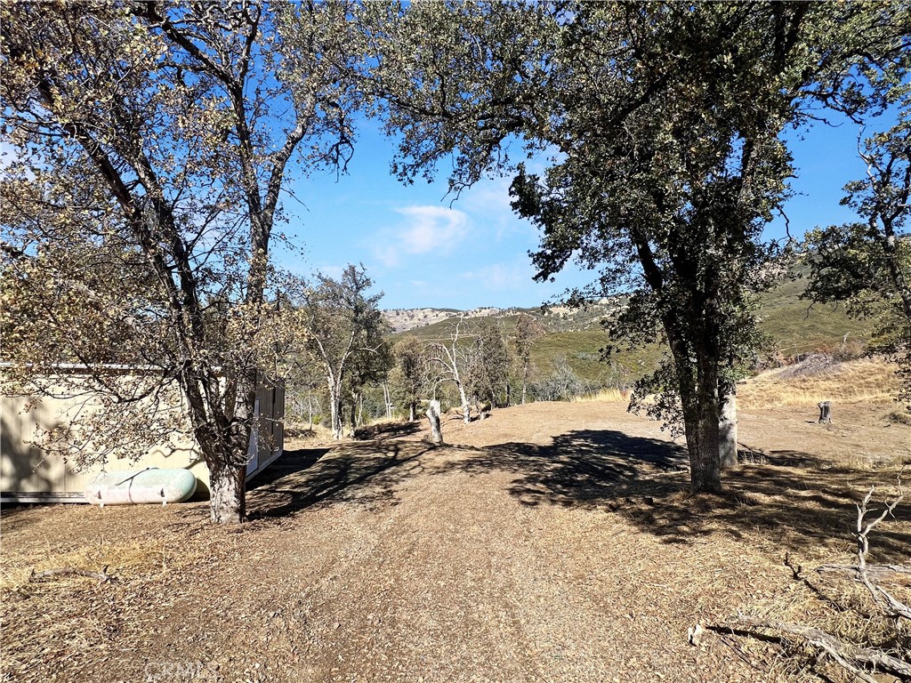 20560 Solar Ridge Road Lower Lake, CA 95457 - Photo 17 of 21 a view of a large tree with wooden fence
