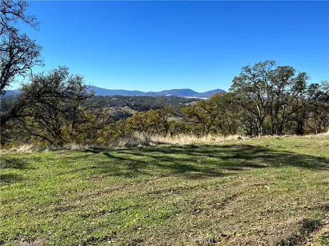 a view of a tree in a yard
