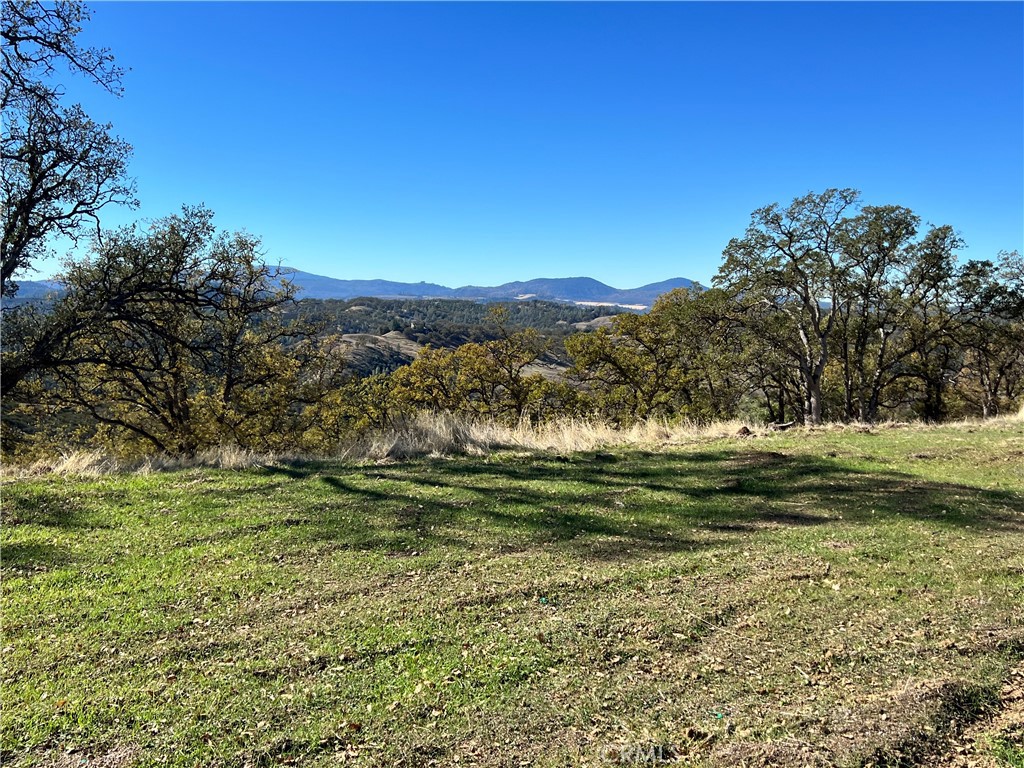 20560 Solar Ridge Road Lower Lake, CA 95457 - Photo 20 of 21 a view of a yard with a tree