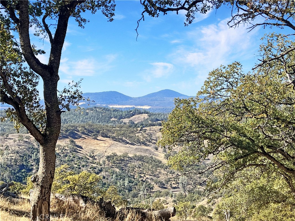 20560 Solar Ridge Road Lower Lake, CA 95457 - Photo 21 of 21 a view of a tree in a yard