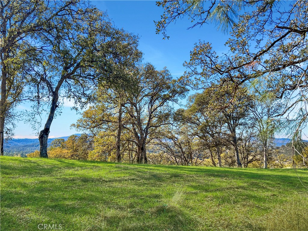20560 Solar Ridge Road Lower Lake, CA 95457 - Photo 3 of 21 a view of a trees with a big yard