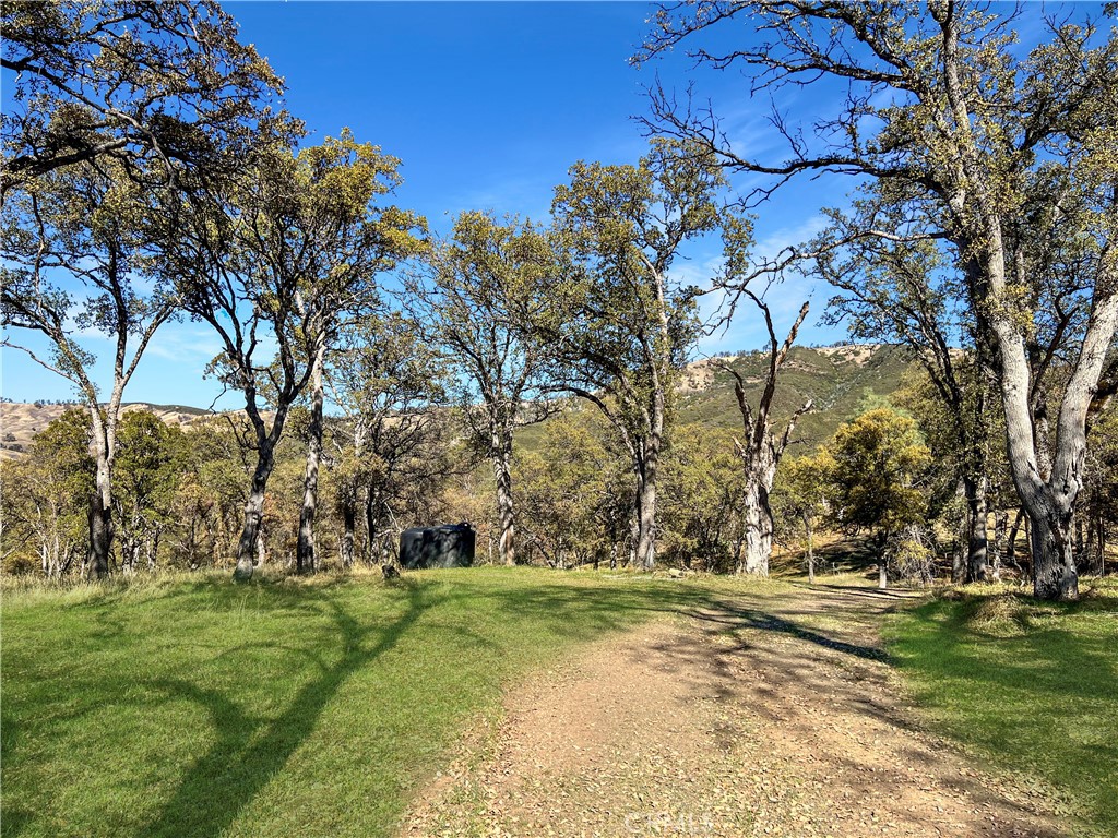 20560 Solar Ridge Road Lower Lake, CA 95457 - Photo 5 of 21 a view of yard with tree