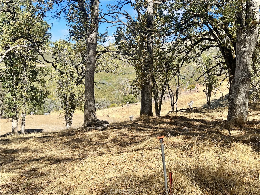 20560 Solar Ridge Road Lower Lake, CA 95457 - Photo 7 of 21