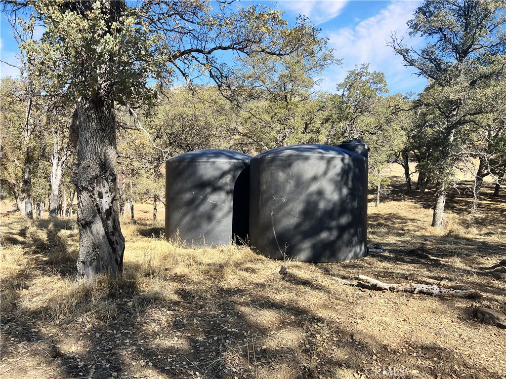 20560 Solar Ridge Road Lower Lake, CA 95457 - Photo 10 of 21 a view of a yard with large tree