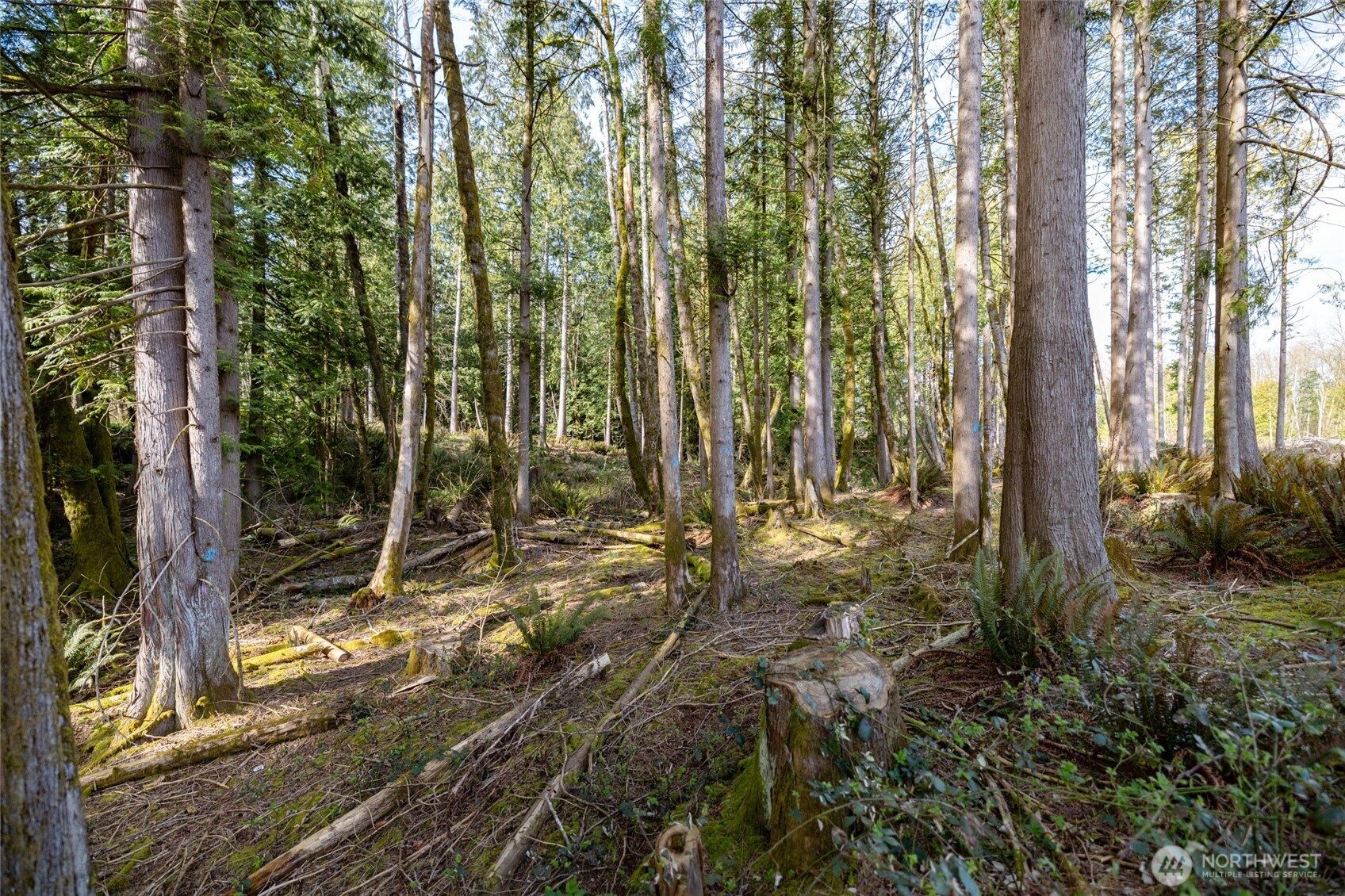 -nhn H Street Road Blaine, WA 98230 - Photo 13 of 13