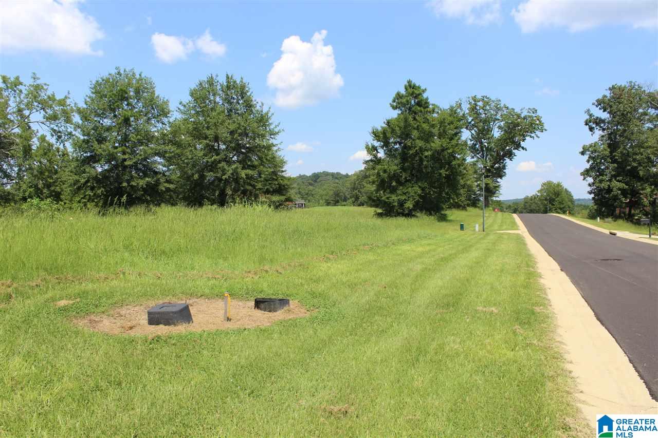 Overlook Drive, Unit 24 Lincoln, AL 35096 - Photo 6 of 10