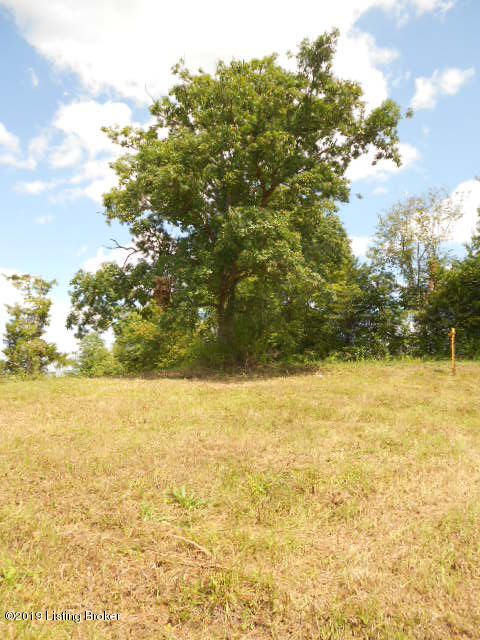1132 Lanes Mill Road Lawrenceburg, KY 40342 - Photo 9 of 11 DSCN0935