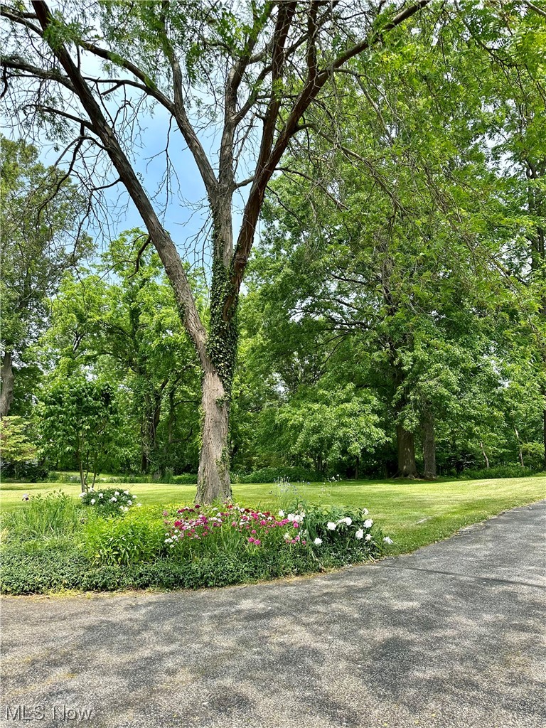 8976 Bluff Road Willoughby, OH 44094 - Photo 26 of 27 Lovely front yard