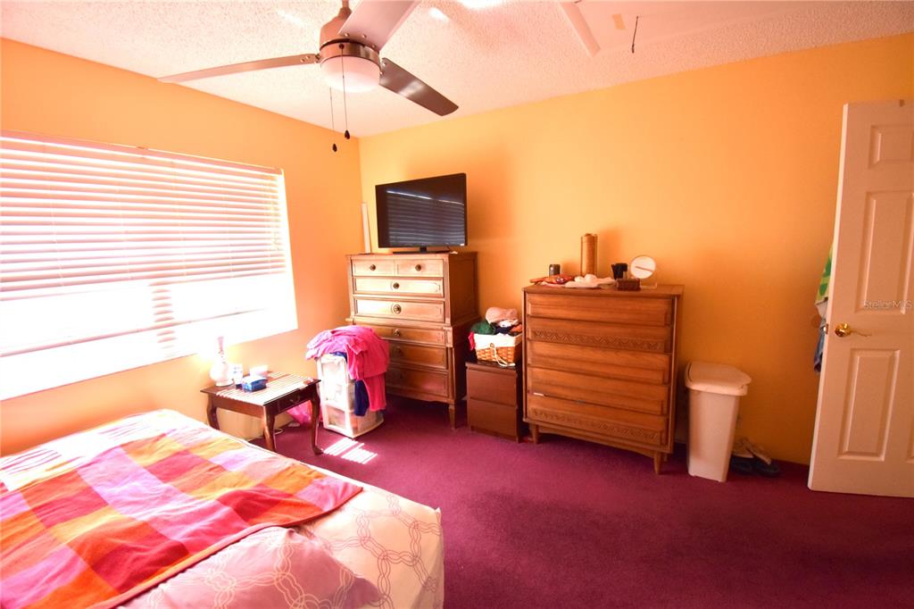 2482 Enterprise Road, Unit 2 Clearwater, FL 33763 - Photo 15 of 26 Gallery Image 15
