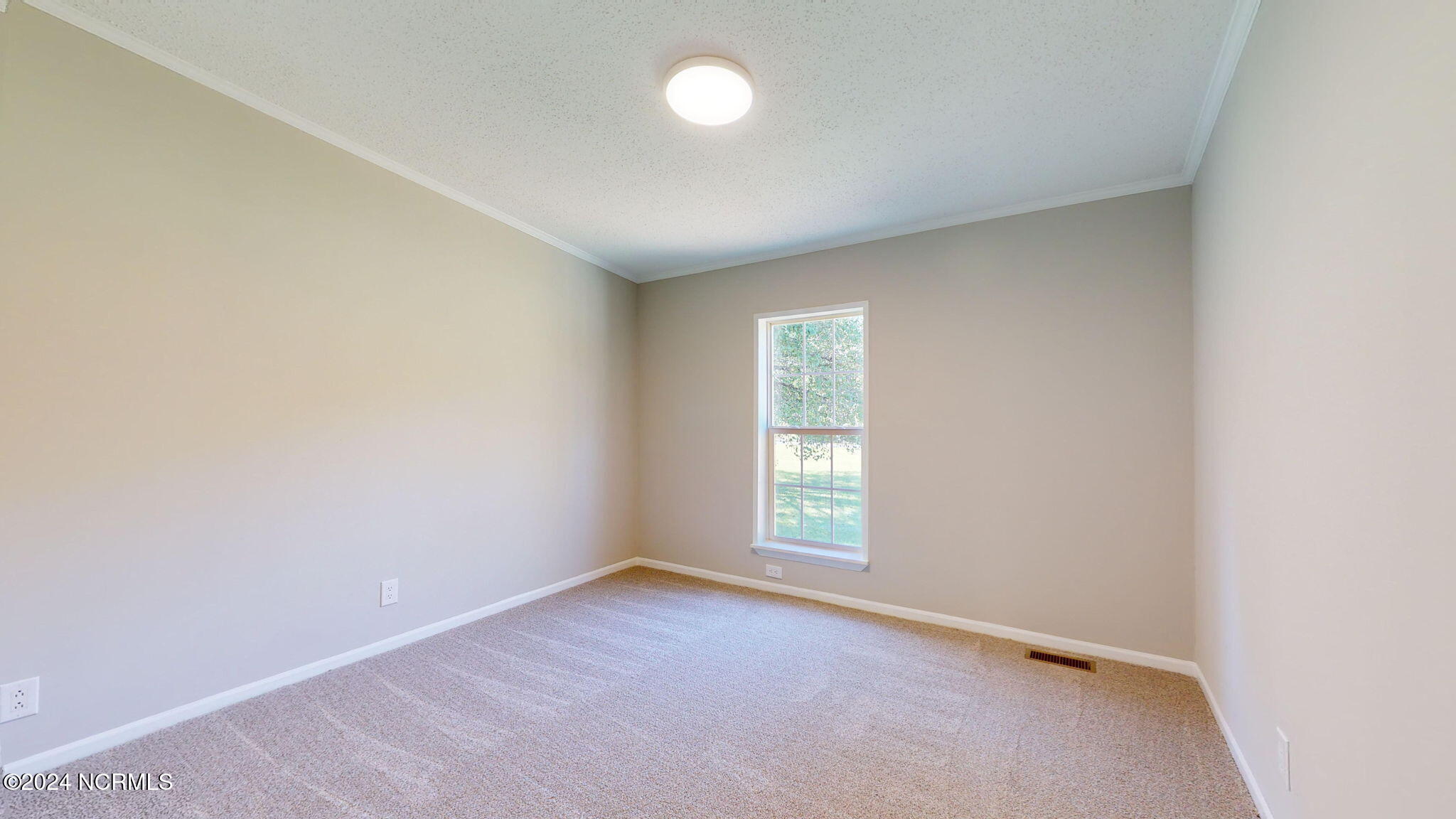 690 Butler Ford Road Vanceboro, NC 28586 - Photo 19 of 48 41-web-or-mls-10.09.2024_12.49.46