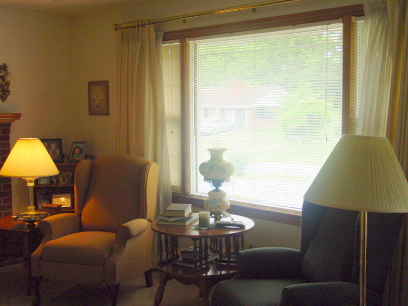 262 Oak Drive Blue Ridge, VA 24064 - Photo 11 of 33 Picture window in Living Room