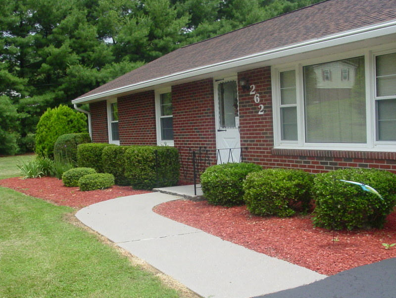 262 Oak Drive Blue Ridge, VA 24064 - Photo 19 of 33 Gorgeous Landscaping in front