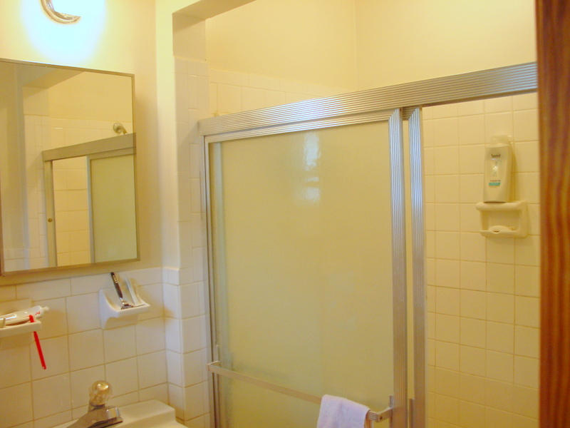 262 Oak Drive Blue Ridge, VA 24064 - Photo 29 of 33 Large shower in Master Bath