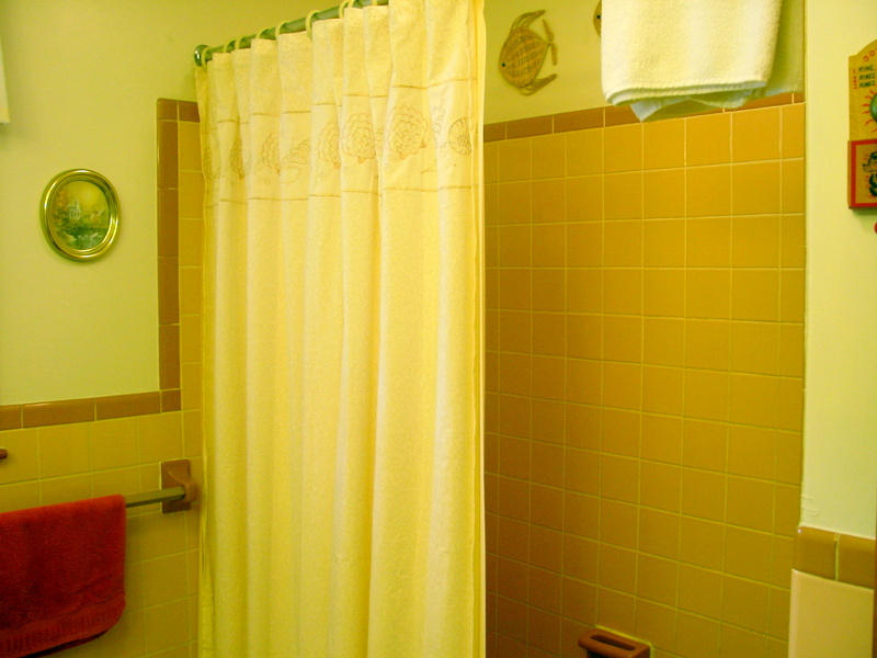 262 Oak Drive Blue Ridge, VA 24064 - Photo 31 of 33 Hallway Bath - Tub and Tiled Shower