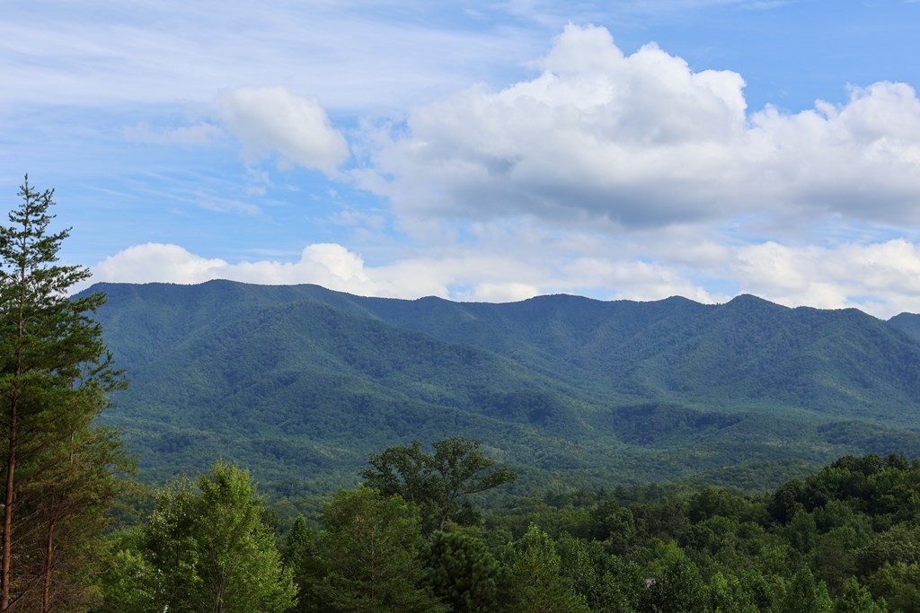 250 Sonshine Ridge Road Cosby, TN 37722 - Photo 4 of 15
