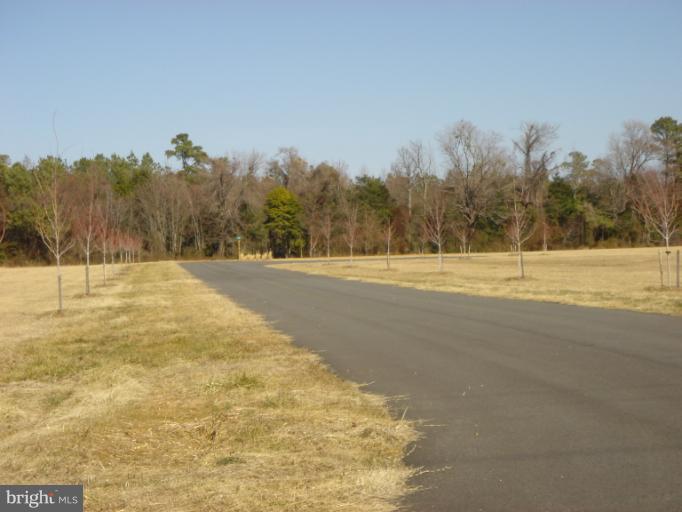 Exterior (General)