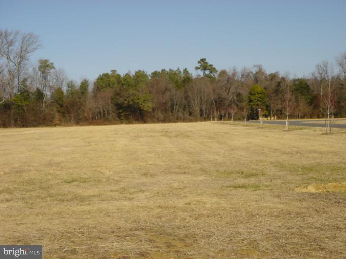 Exterior (General)