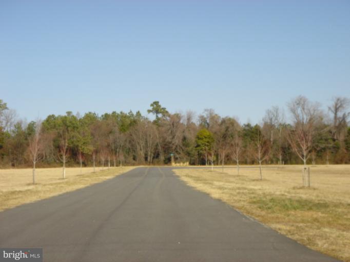 Exterior (General)