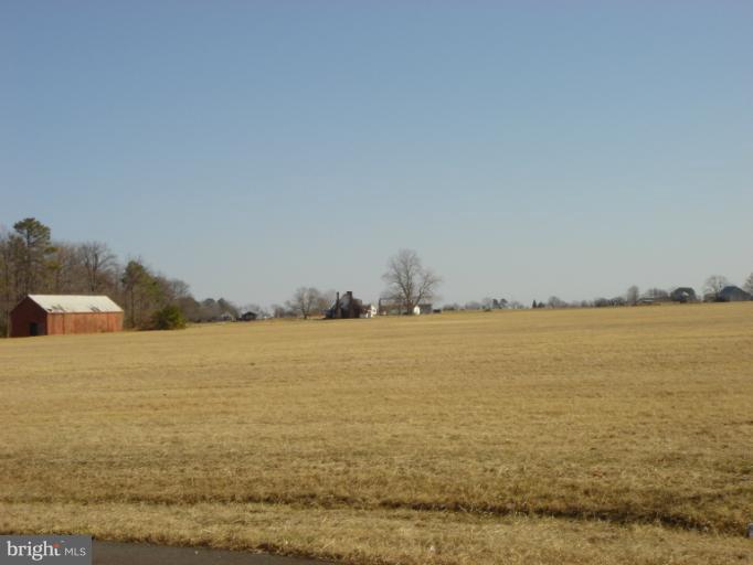 Exterior (General)