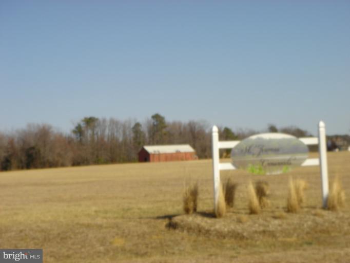 Exterior (General)