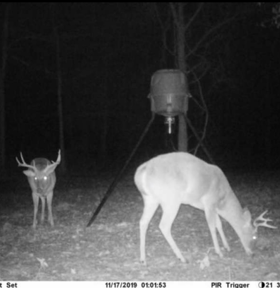 2 Fowler Road Vaughan, MS 39179 - Photo 3 of 12 Photo 3