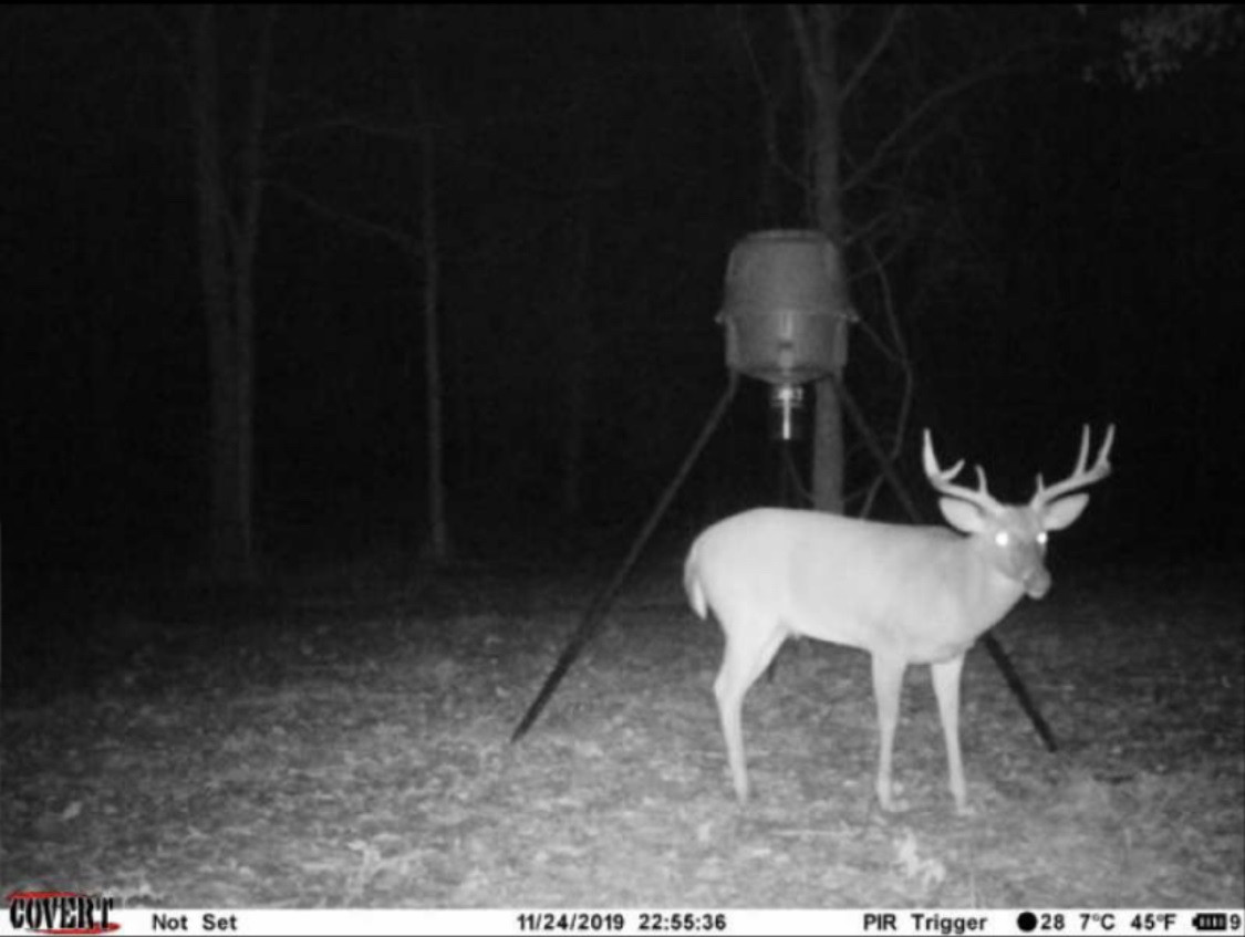 2 Fowler Road Vaughan, MS 39179 - Photo 4 of 12 Photo 4