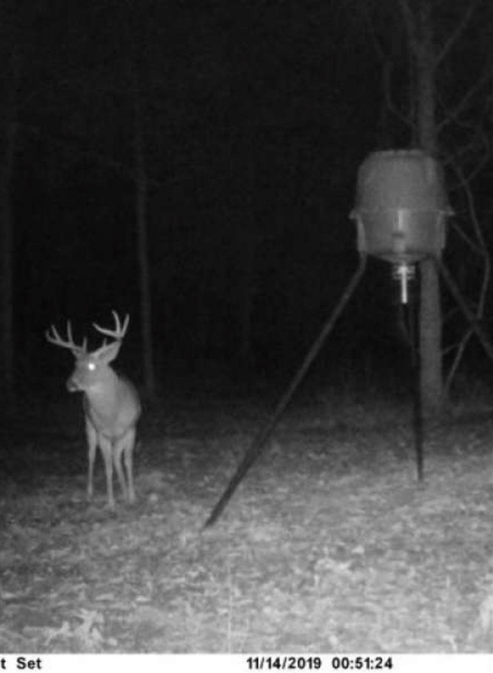 2 Fowler Road Vaughan, MS 39179 - Photo 7 of 12 Photo 7
