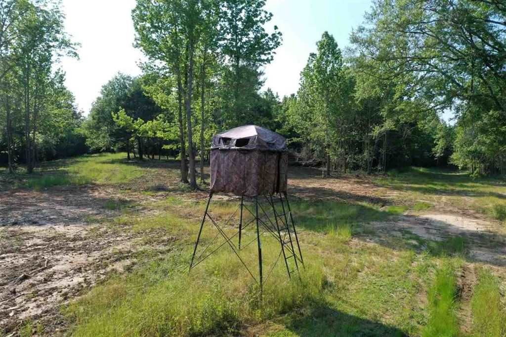 2 Fowler Road Vaughan, MS 39179 - Photo 8 of 12 Photo 8