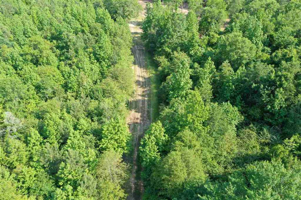 2 Fowler Road Vaughan, MS 39179 - Photo 9 of 12 Photo 9