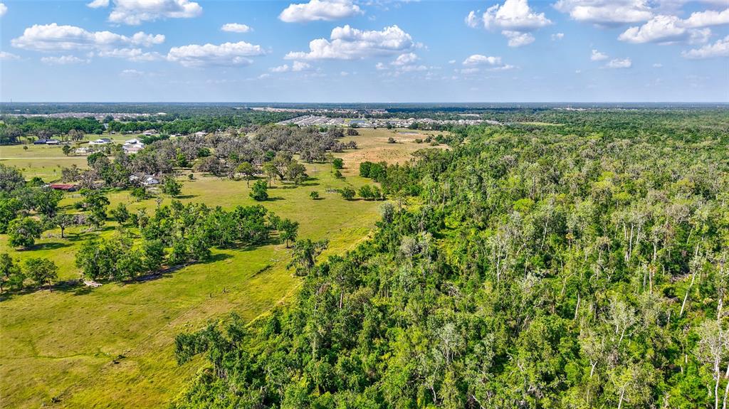 5900 Spencer Parrish Road Parrish, FL 34219 - Photo 15 of 22 a view of a large yard with a large tree and a yard