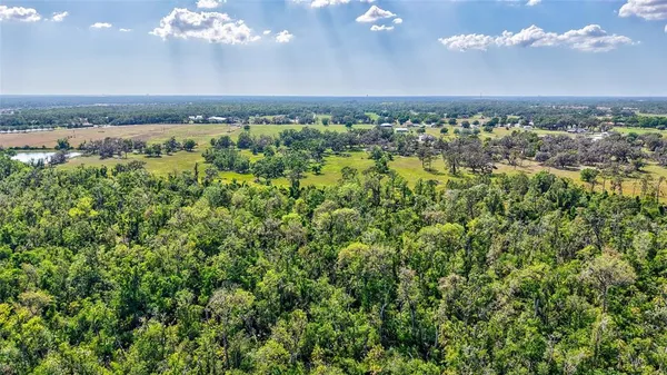 an aerial view of a houses with city view