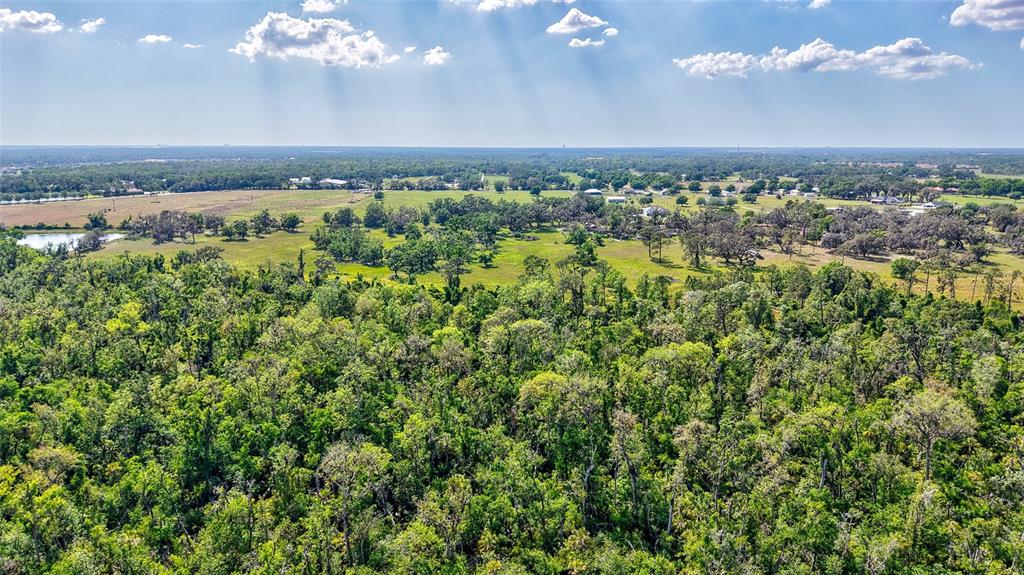 5900 Spencer Parrish Road Parrish, FL 34219 - Photo 16 of 22 an aerial view of a houses with city view