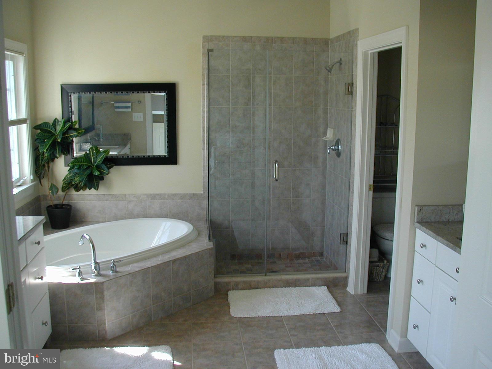 13941 Alderton Road Silver Spring, MD 20906 - Photo 19 of 28 Bath (Master)