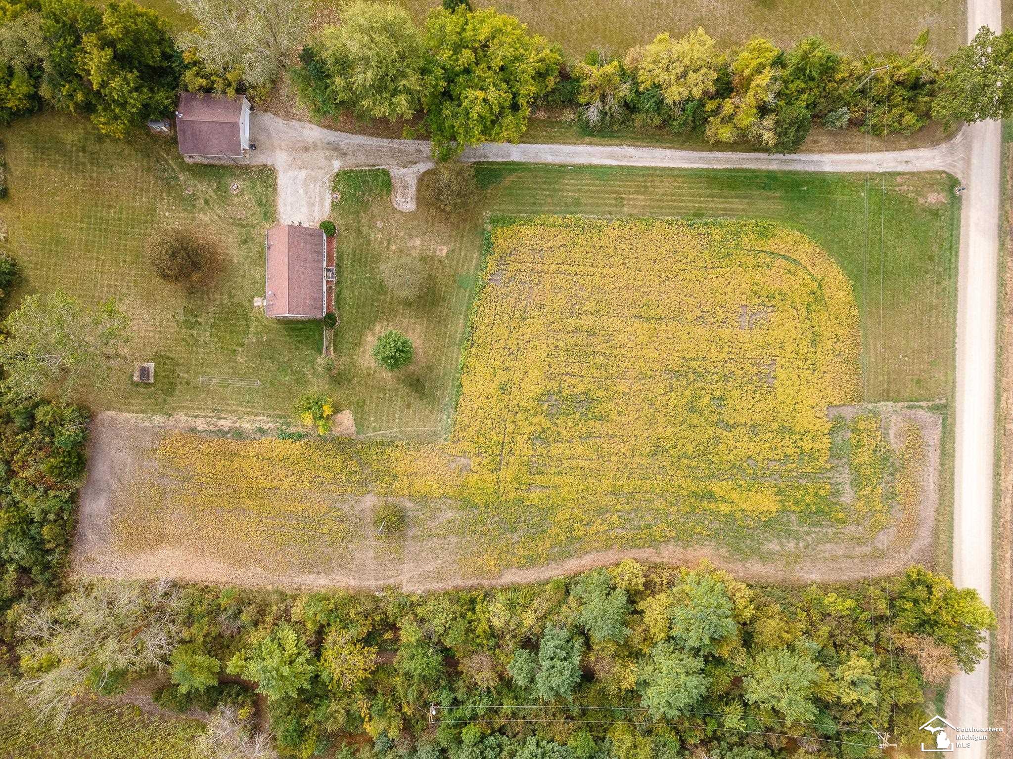 5285 Jackman Road Ida, MI 48140 - Photo 43 of 48