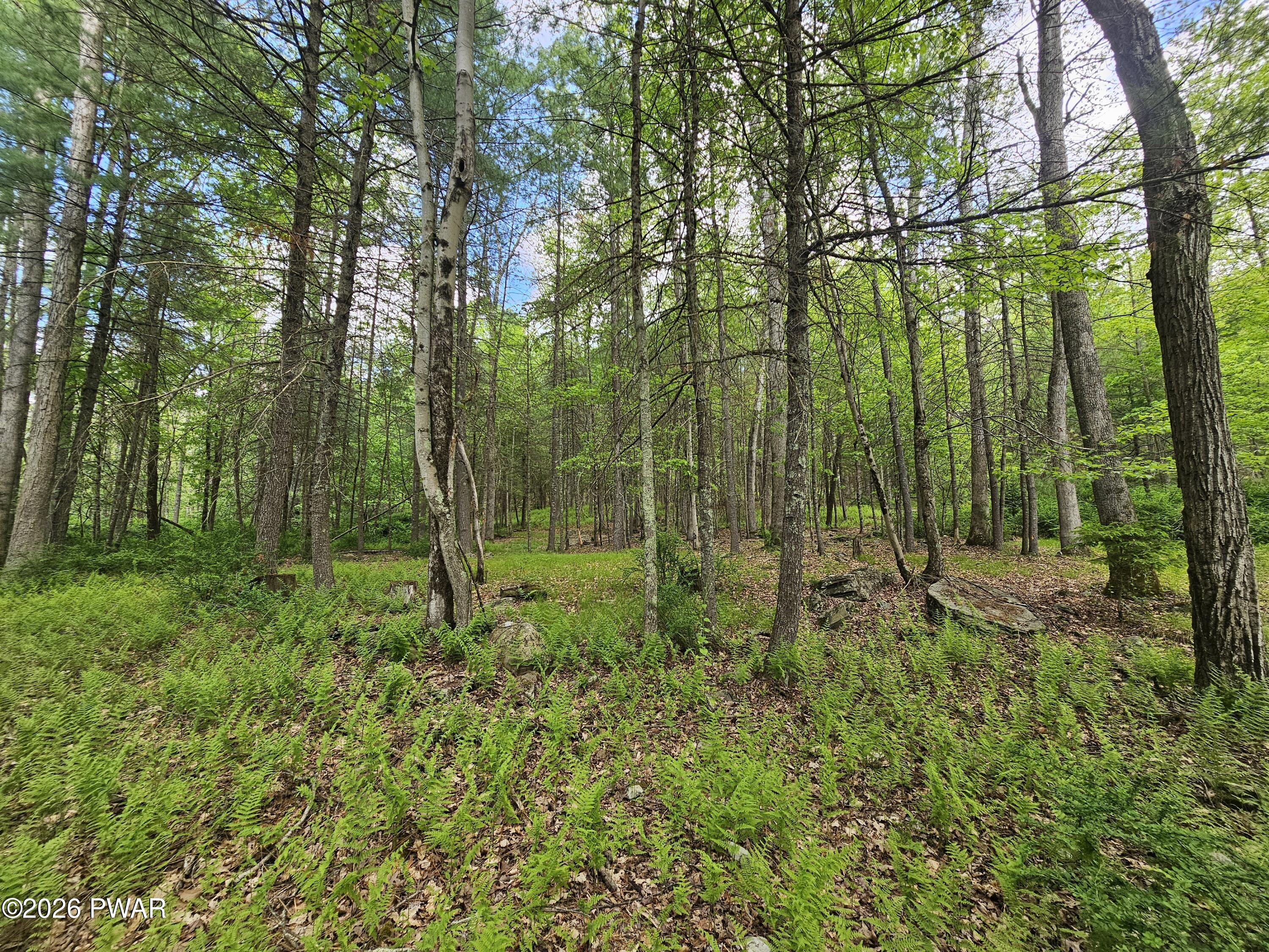 2127 Rt 590 Hawley, PA 18428 - Photo 46 of 48