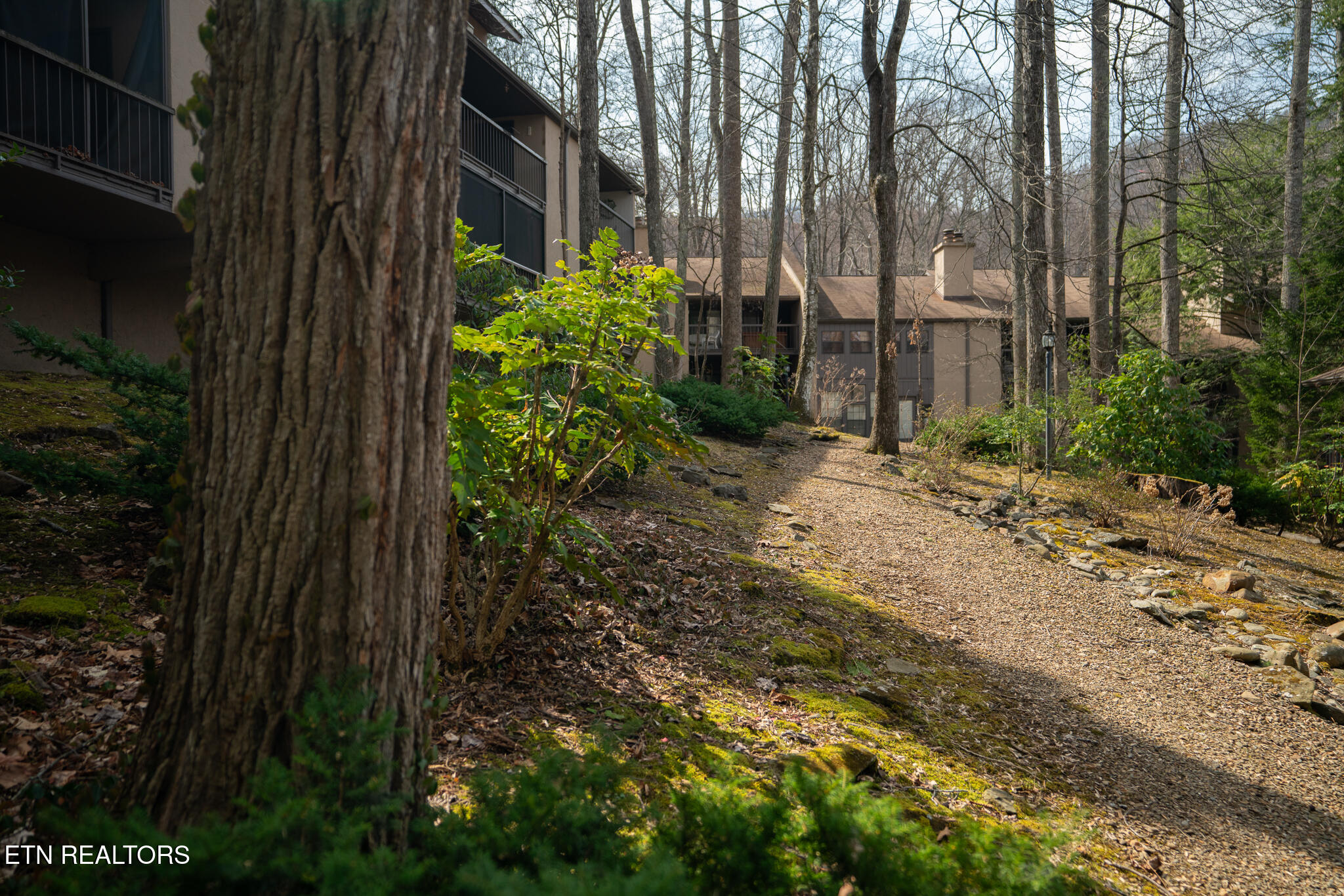 1235 Ski Mountain Road, Unit 613 Gatlinburg, TN 37738 - Photo 22 of 31 untitled-34