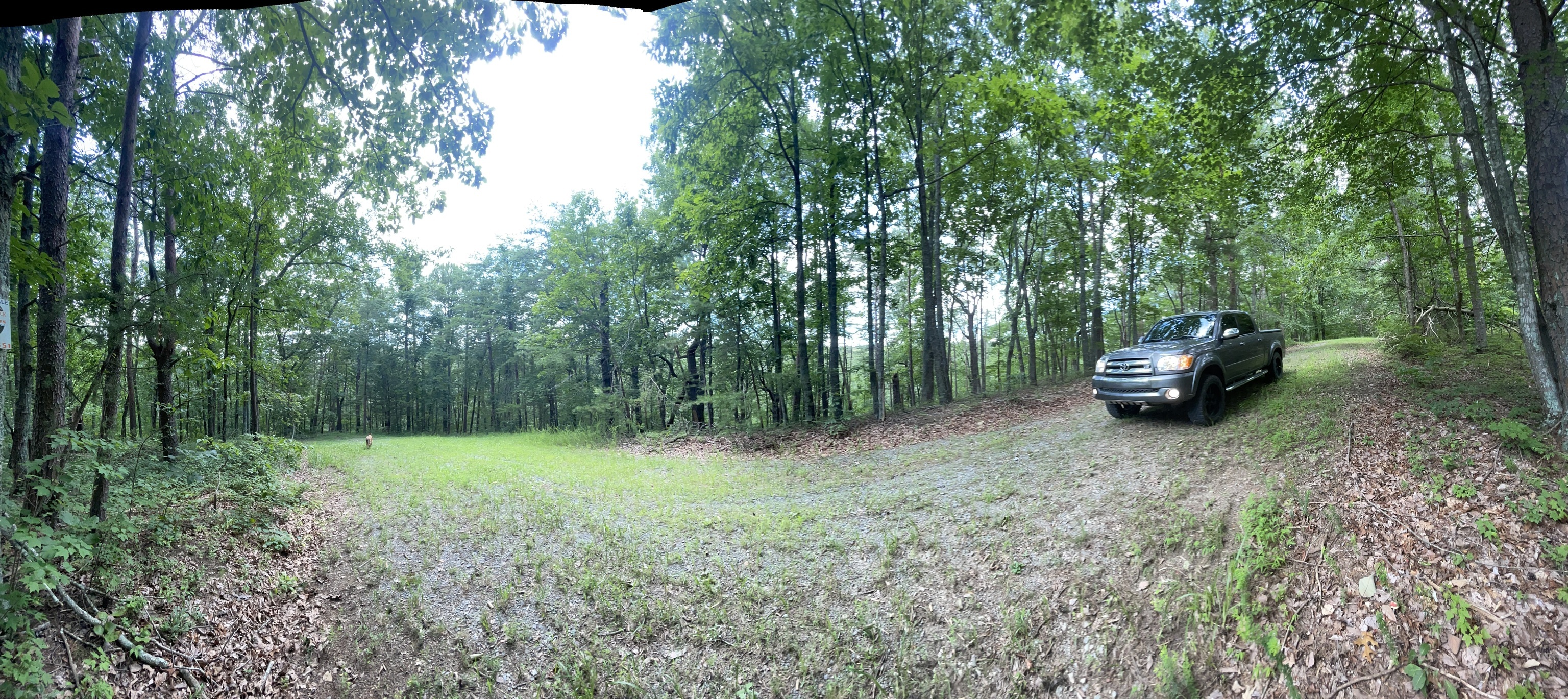 1510 Drew Court Ranger, GA 30734 - Photo 2 of 31 a green field with trees in the background